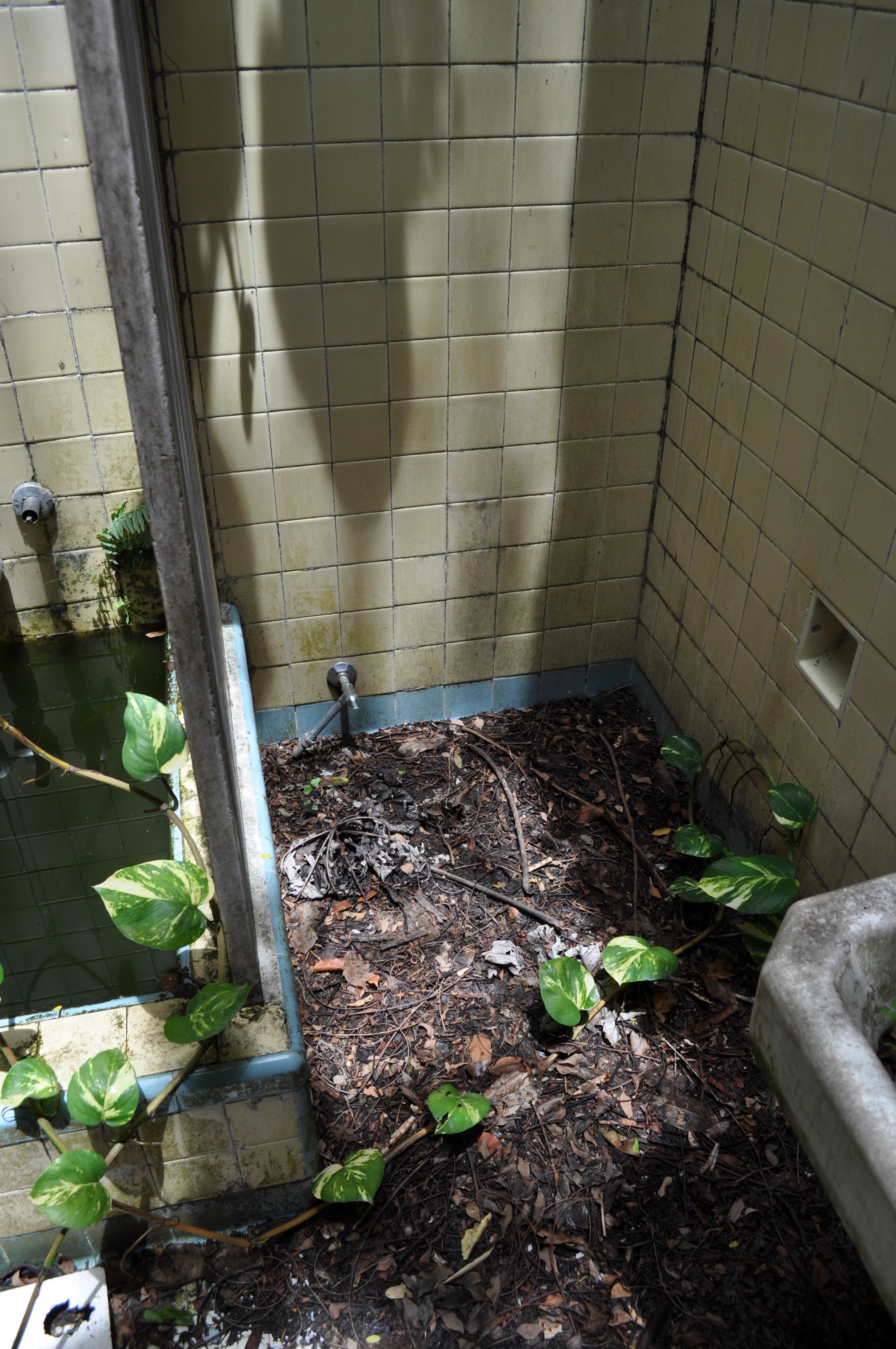 Antigua Lechería y Residencia de la Facultad de la Universidad de Puerto Rico - San Juan (Río Piedras) - 2015 00024